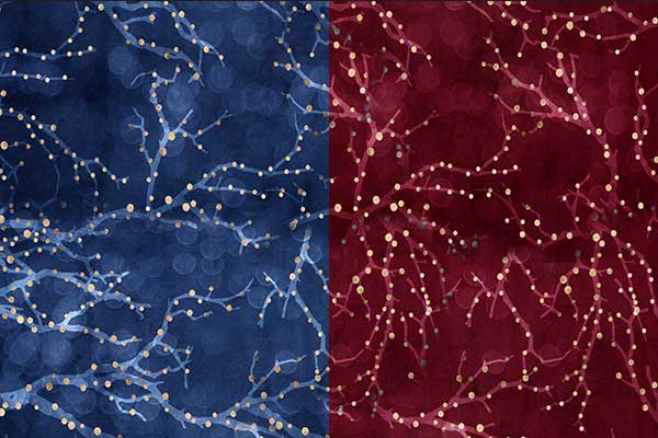 Hiver Noël rouge et bleu