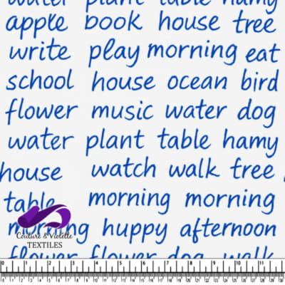 Mots manuscrits liés aux objets et activités en encre bleue