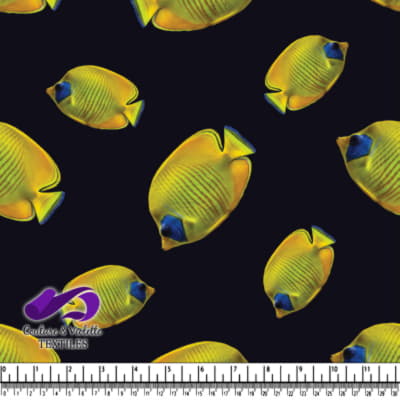 Poisson Tropique Jaune sur Fond Noir