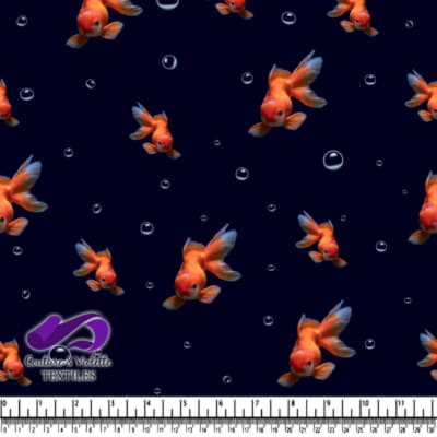 Poisson Rouge Nageant dans l'Eau Noire avec des Bulles d'Air