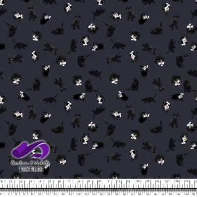 Chat noir - Texture bleu après minuit