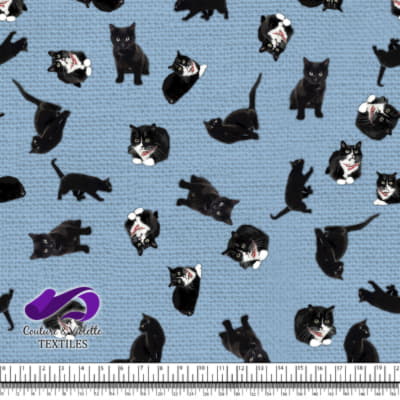 Chat Noir - Chats sur Fond Bleu Ciel Clair