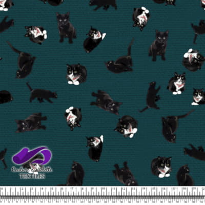 Chat noir - Chats sur une texture bleu foncé