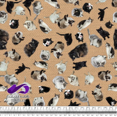 Chat - Chaterie sur Texture Beige Nuageux