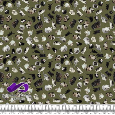 Chat - Chaterie sur Texture Olive