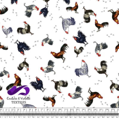 Roosters and Hens - Feathered Flock on White backgournd