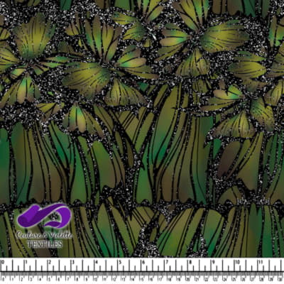 Fantastic Wings - Ailes - Dragon