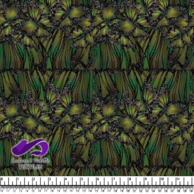 Fantastic Wings - Ailes - Dragon