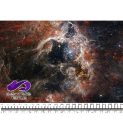 James Webb - Piliers de la création