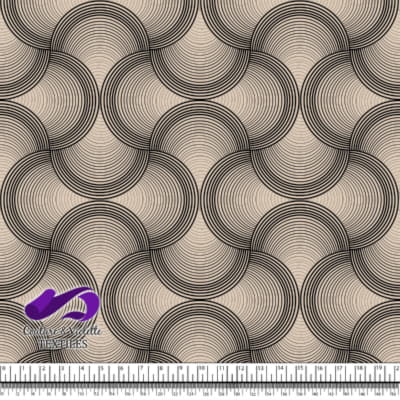 Nature Geometry - Shell on tapioca background