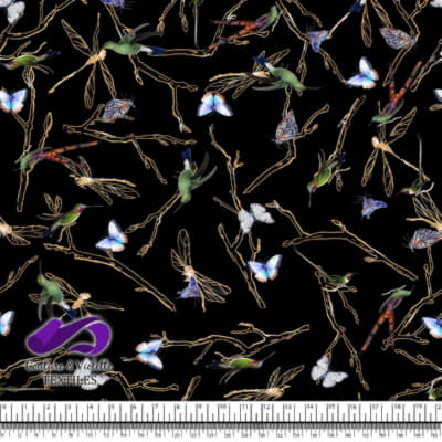 Midsummer Dream - Odonata - Noir