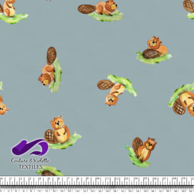 Petits animaux - Castors