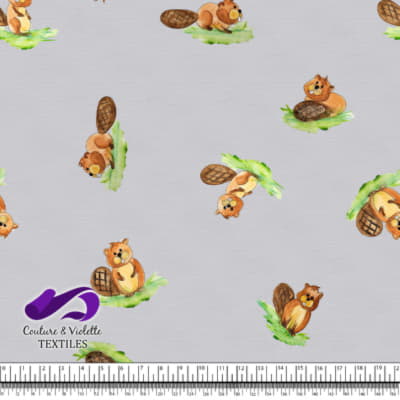 Petits animaux - Castors