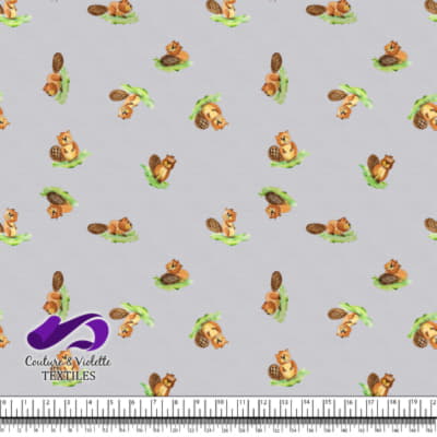 Petits animaux - Castors