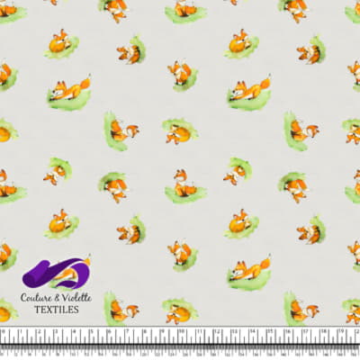 Petits animaux - Renard - Rice milk cloud