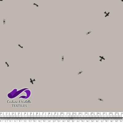 Petit aviateur - avions - nuage argenté