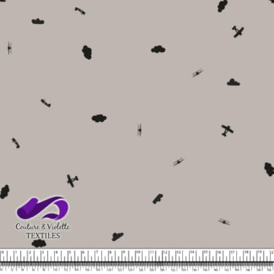 Petit aviateur - avions et nuages - nuage argenté