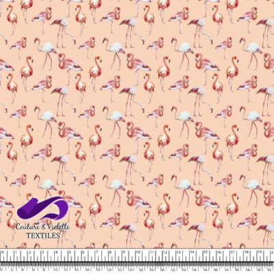 Tropical - Flamants roses - Pêche