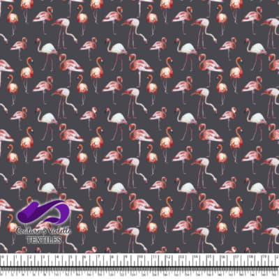 Tropical - Flamants roses - Anthracite